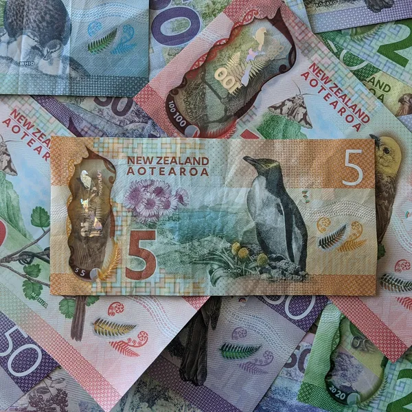 Investing ethically in KiwiSaver in wake of Russian invasion