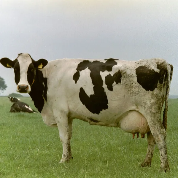 The great methane debate explained